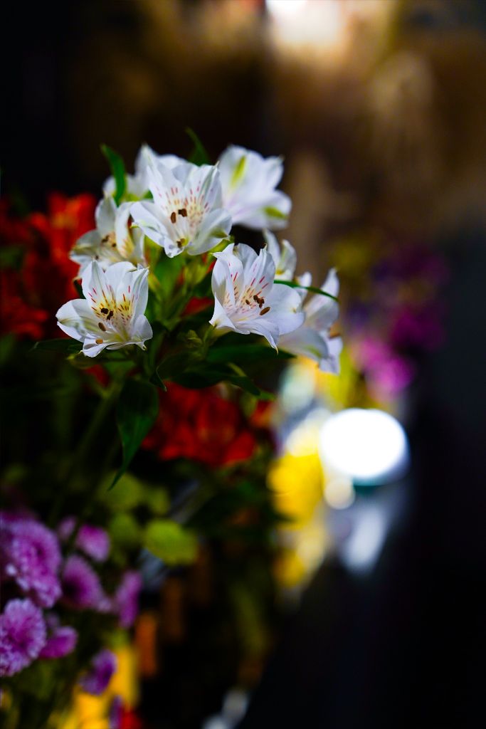 Flower 4